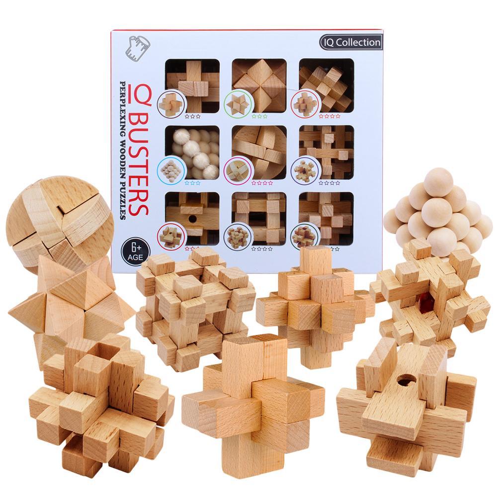 Mind-Bending Puzzle Set – Wire or Wooden IQ Games